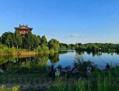 比分足球足球投注-理性看待比分足球与投注，一场关于激情与理智的博弈