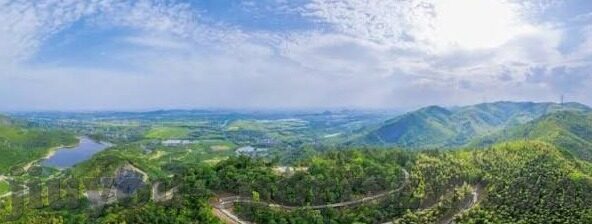 捷报足球比分捷报-捷报足球比分，绿茵场上的数字交响曲，解码胜利的密码
