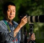 也门足球比分-也门足球比分，赛场风云背后的国家足球梦