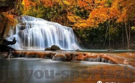 足球比分竞猜技巧-揭秘足球比分竞猜，从新手到高手的进阶指南