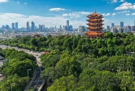 足球即时比分照-足球即时比分照，绿茵场上的数字心跳与情感共鸣